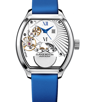 Claude Meylan - Tortue Lady “Soleillé”
